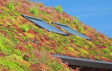 Stony Dale living roof systems